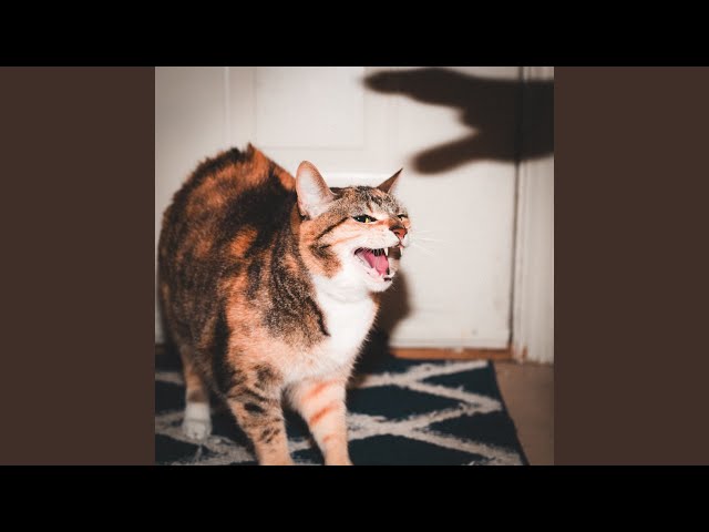 777