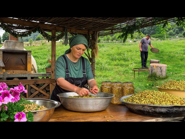 Rustic Mulberry Cooking – From Tree to Homemade Syrup & Jam