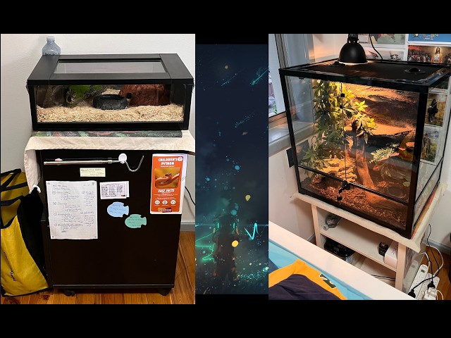 NEW CRIB FOR MY PET SNAKE I Tryzo's Pets