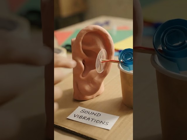 How Do We Hear Sound? 👂🔊 | 3D Working School Project