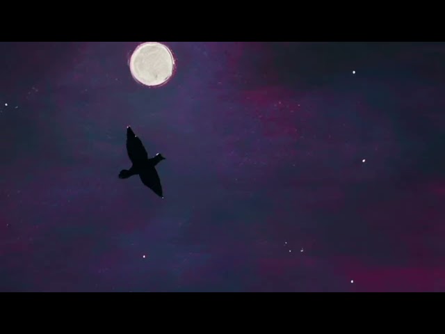 The Expendables - Stay Now ft. Eric Rachmany (Dub Mix) [Official Audio]