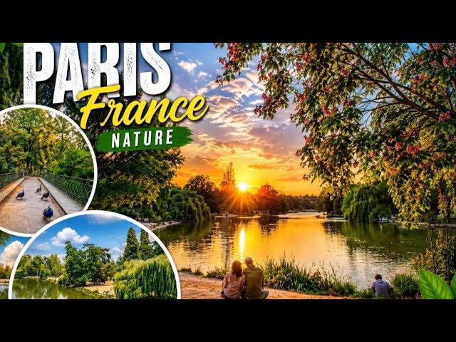 Life in Paris 🇫🇷 Live Stream🔴 LIVE: Beautiful Paris Nature View 🇫🇷🌿 Relaxing France Live Stream