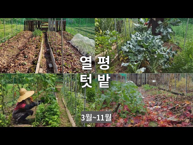 Effective vegetable gardening of small vegetable gardens in Korea /from March to December