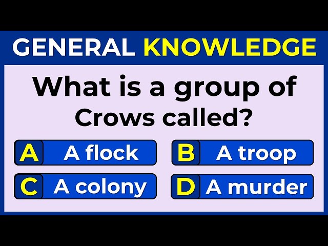 Only 5% Of People Can Score 25/25 on This General Knowledge Quiz!