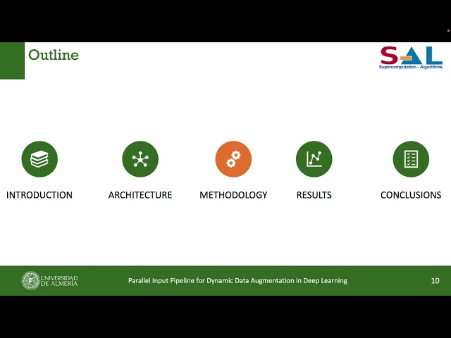 Parallel Input Pipeline for Dynamic Data Augmentation in Deep Learning