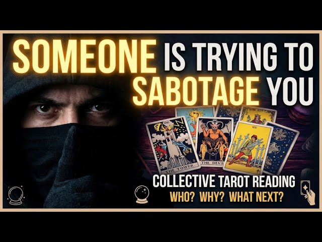 Someone Is Trying To Sabotage You! Collective Reading 