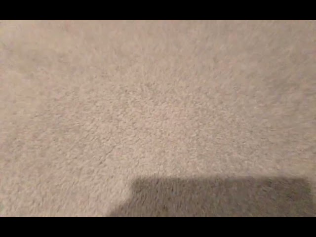 gymnastics