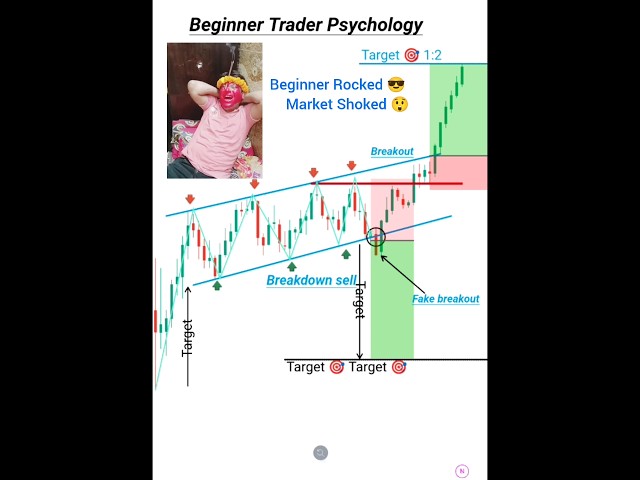 Best Beginner Trading Setup 🤑 Strategy price action #forex #crypto #pattern #shorts