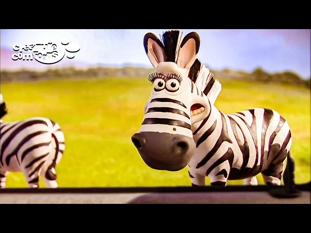 BLACK OR WHITE IS A STATE OF MIND | Creature Comforts