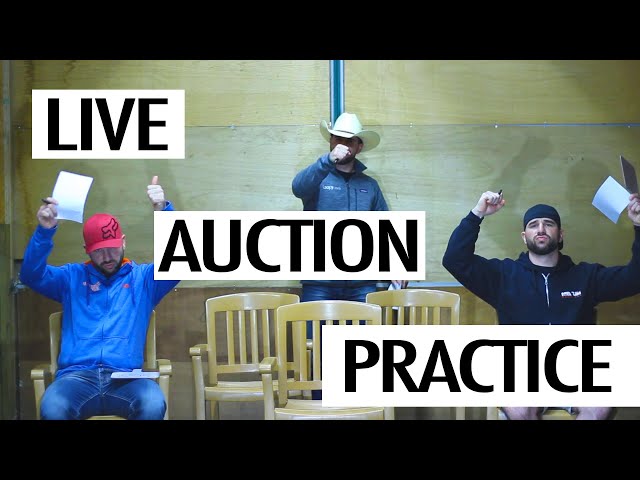 Live Auction Practice : Freestyle Bid Calling