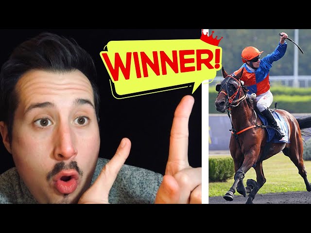 7 TIPS to WIN at TROTCH RACES