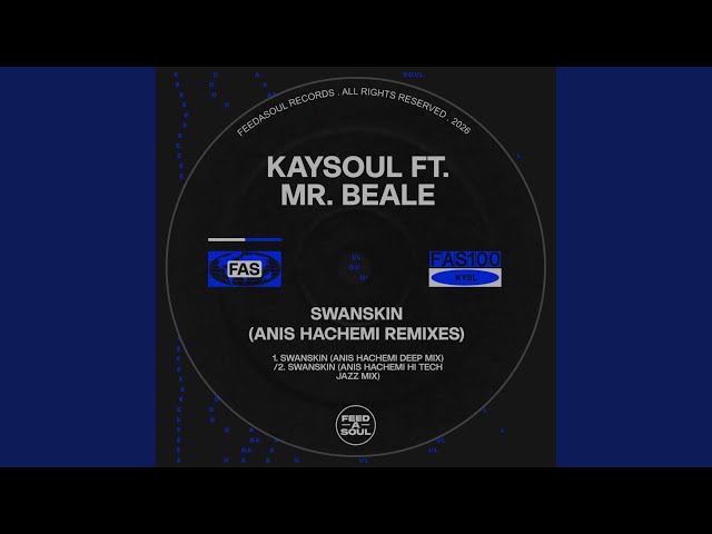 Swanskin (Anis Hachemi Hi Tech Jazz Remix)