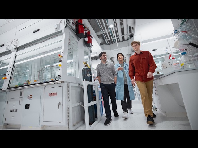 Generative AI for DNA