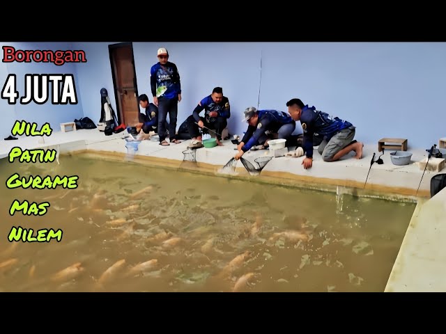 THE FISH ARE ALREADY QUEUING UP..!!
