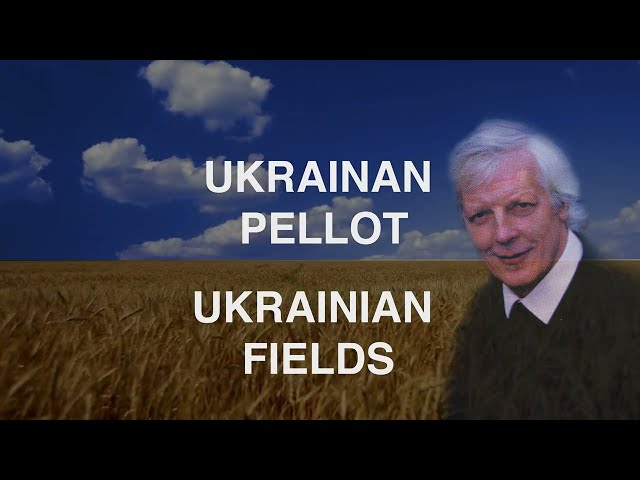 Reino Kotaviita | Ukrainan pellot | Ukrainian fields