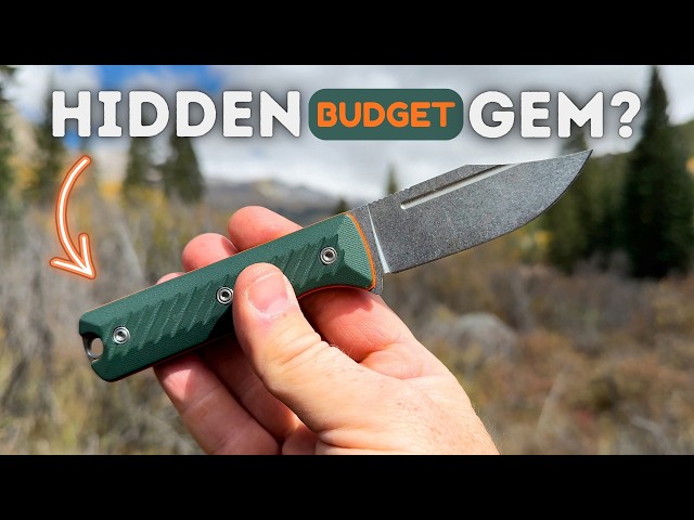 3 Reasons PROS & NOOBS Need To Consider This Blade!