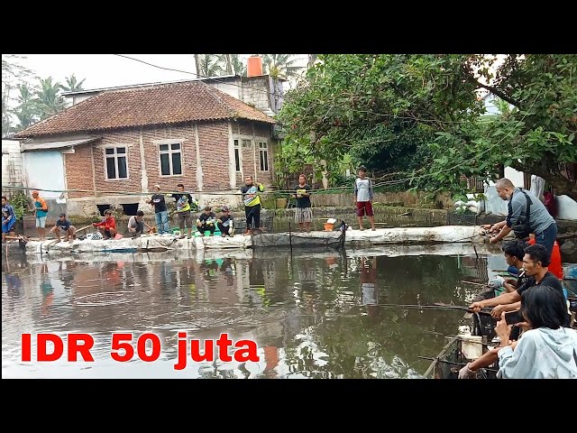 Ya tuhann....50 juta, cuma 10 peserta‼️mancing paling menegangkan
