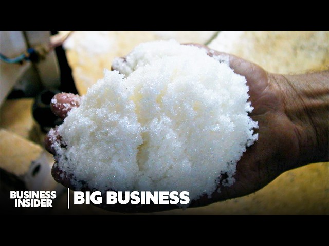 How Brazil Dominates Sugar Production