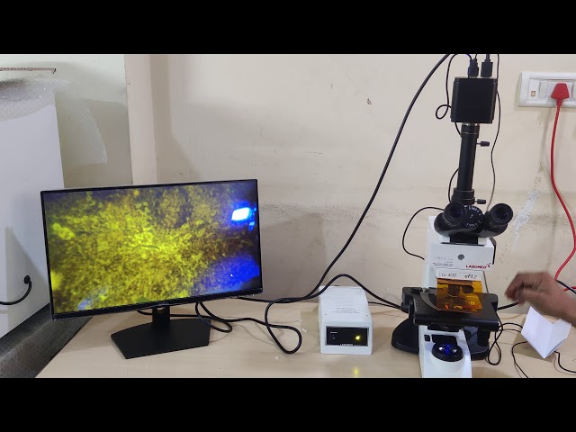 flurosence Microscope