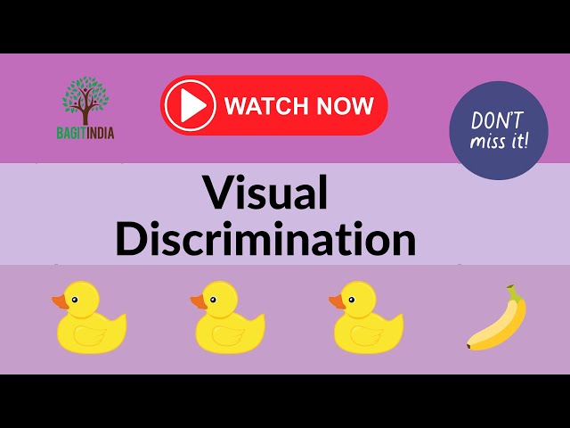 Develop observational skills | Visual Discrimination | ages 3-6