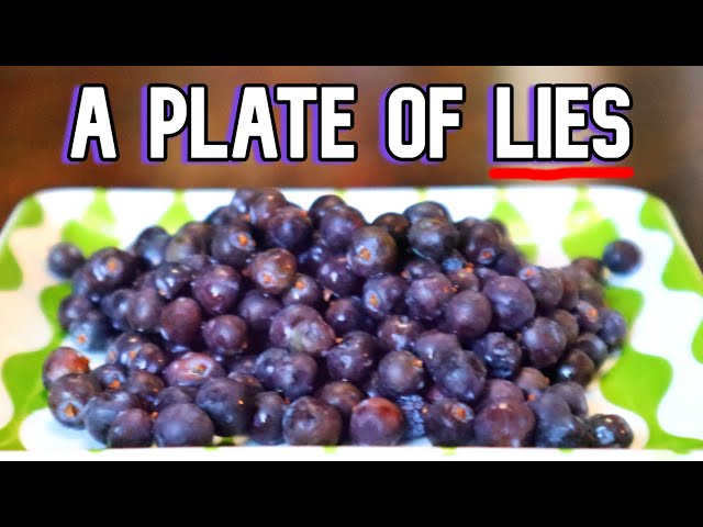 Juniper Berries Aren't Fruit. (but here's what to do with them anyway)