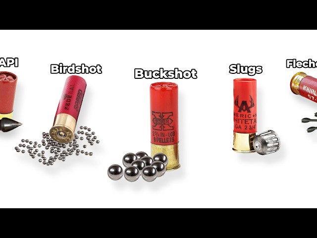 Every Type Of Shotgun Shell Explained