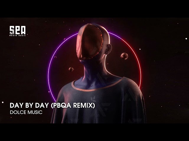 DAY BY DAY (PBQA REMIX) - NHẠC Ở ĐÂY NHẠC TOÀN TREND TIKTOK