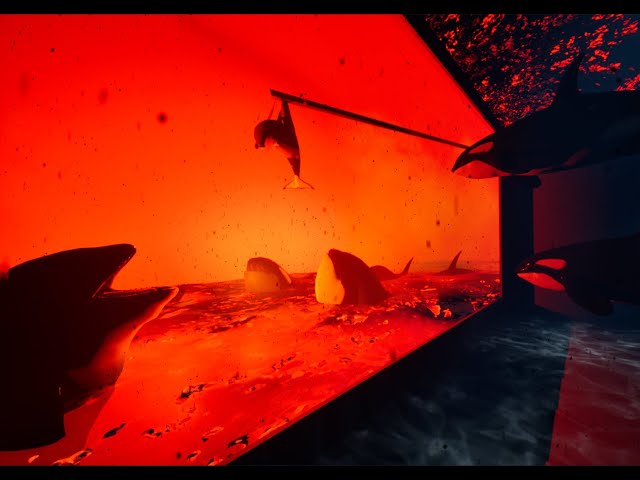 [360° Animation] I cannot see their faces