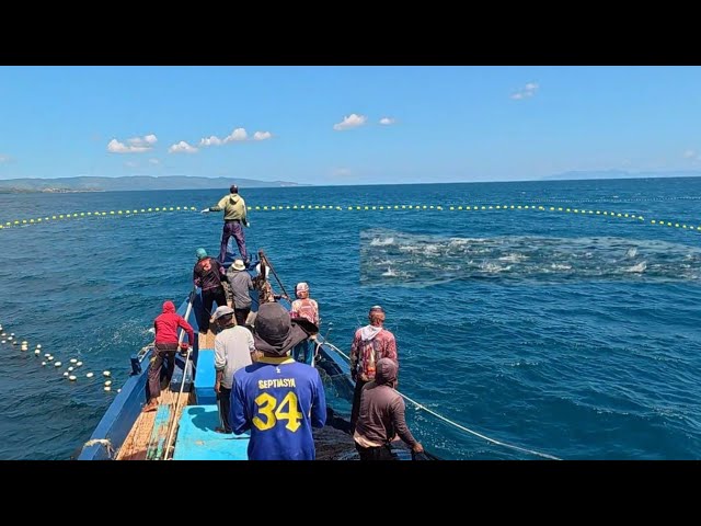 Pukat cincin, Nelayan Indonesia Dapat Banyak Ikan, luar biasa hasil tangkapan nelayan Indonesia