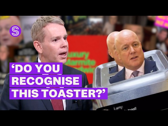 Toaster links Instagram account mocking PM Luxon to former Labour staffer | Stuff.co.nz