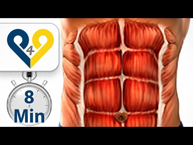 Rutina de abdominales de 8 minutos para conseguir un abdomen perfecto y definido en poco tiempo #...