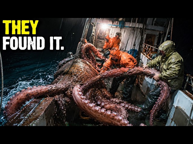 Lost at Sea: The Terrifying Kraken FOUND | Forgotten History