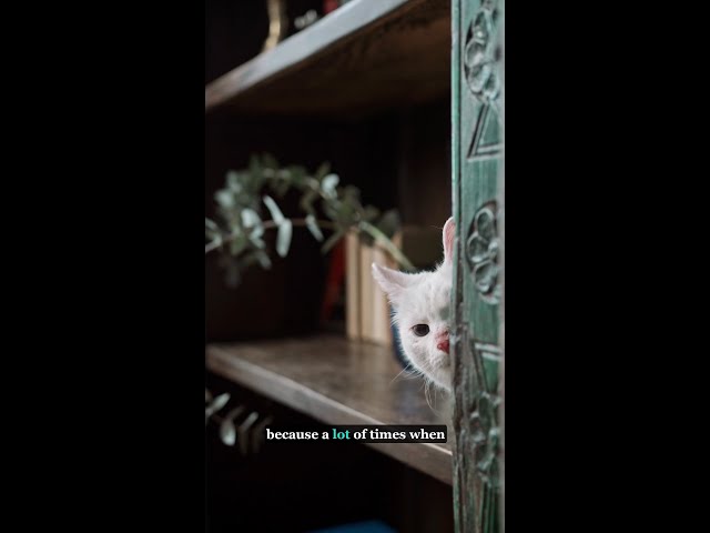 The Court Process Puts Survivors in Traumatic Spaces