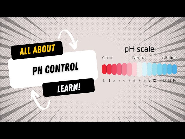 All About pH Control