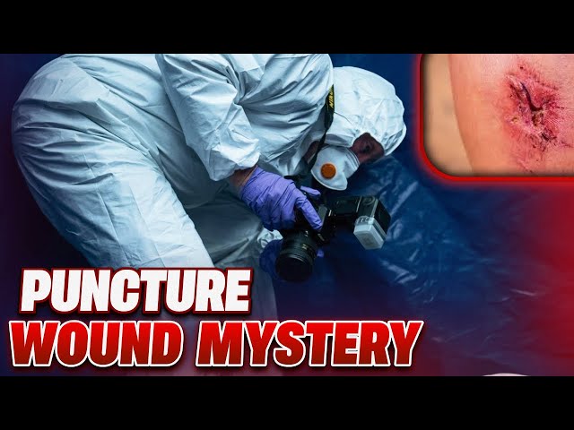 Laser Scanned Crime Scene Unidentified Victim | Forensics: The Real CSI