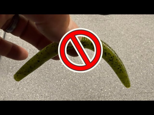 The Single Biggest Mistake 95% Of Anglers Make With Wacky Rigs…