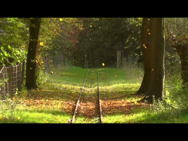 Connect Deeper with Loved Ones 639 Hz Solfeggio Frequency Guided Meditation for Relationship Harmony