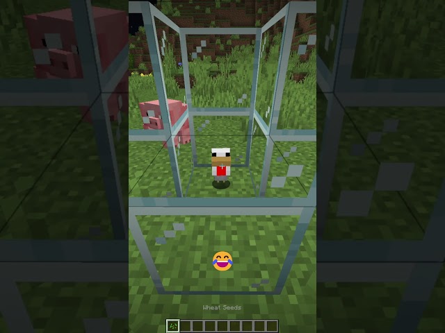 Avengers Assemble!!😂