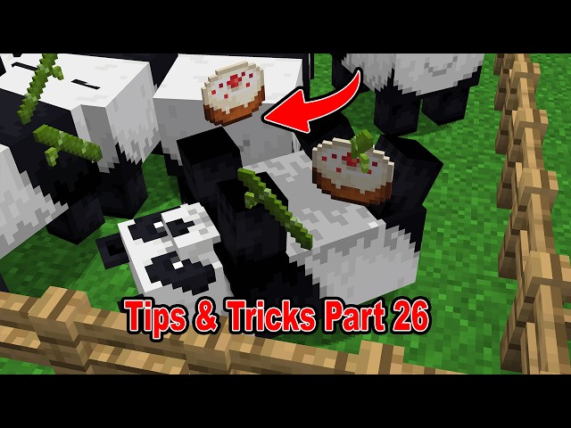 5 Tips & Tricks in Minecraft You Need To Know Part 26