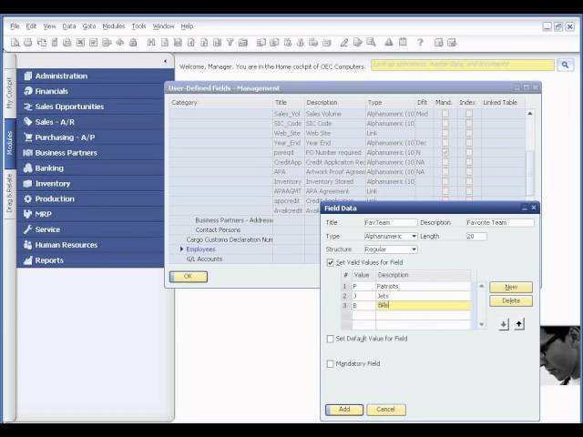 What are User defined fields in SAP Business One