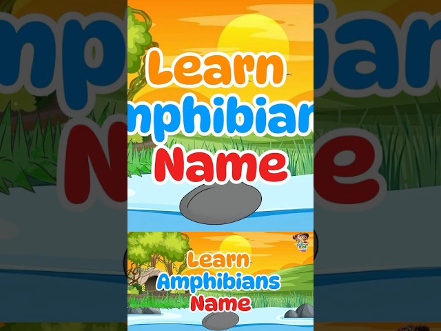 Learn Amphibians 🐸🦎 Fun Learning for Kids