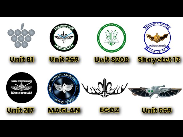 Every Israeli Army Unit Explained