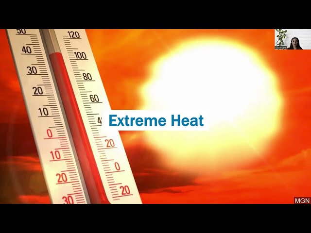 Extreme Heat Tips