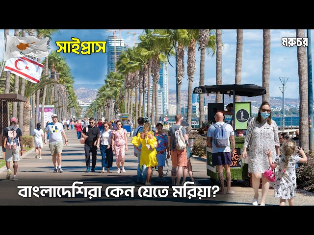 What is Cyprus really like? Why do Bangladeshis want to go? | Schengen Dreams: The Reality of Cyp...