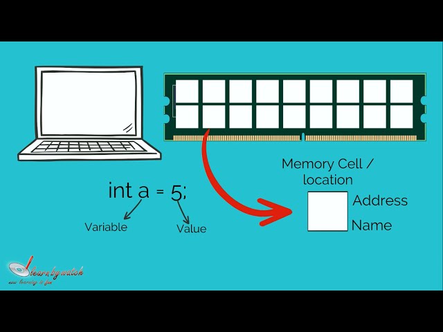What is a Variable in Programming