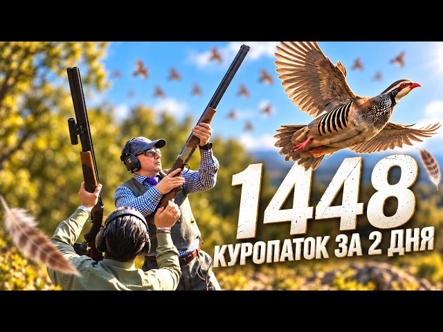Hunting in Spain 🇪🇸 Driven Red-legged Partridge Shoot!
