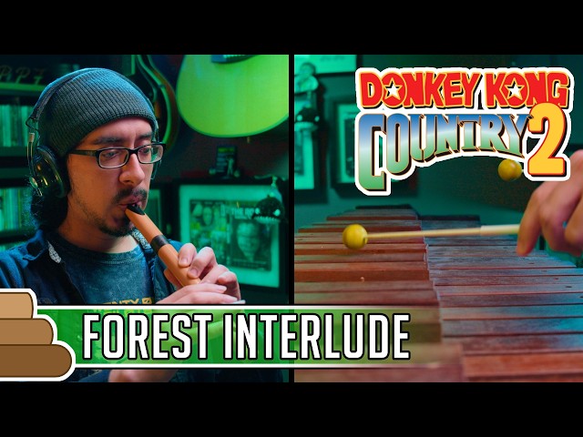 David Wise - Forest Interlude [Donkey Kong Country 2]
