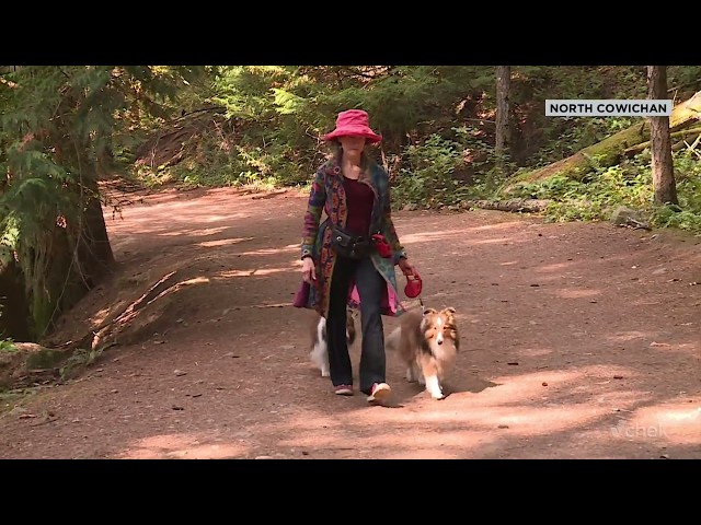 Black bear attack survivor tells about her miracle encounter in B.C.