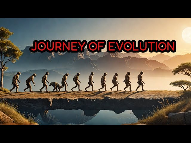 Unravel the Mystery of Human EVOLUTION in Just 20 minutes
