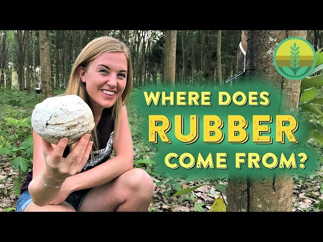 How is RUBBER made? | Maddie Moate